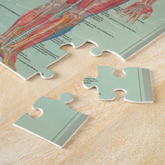 Rätsel - Anatomie Puzzle (Seite)
