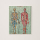 Rätsel - Anatomie Puzzle (Vertikal)