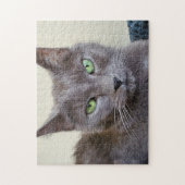 Rätsel der grauen Katze Puzzle (Vertikal)
