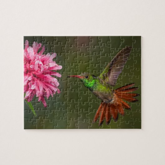 Rätsel der grünen Kolibris und Blume Puzzle (Horizontal)