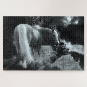 Rätsel des mystischen Nachtpferdes Puzzle