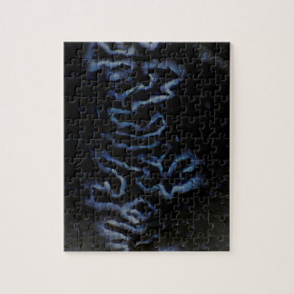 Rätsel Fontanelle Puzzle