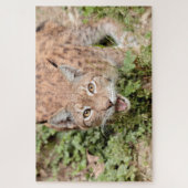 Rätsel Foto lynx , Tiere. Puzzle (Vertikal)