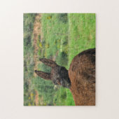 Rätsel: Glücklicher Esel Puzzle (Vertikal)