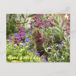 Rätsel Katze! Postkarte