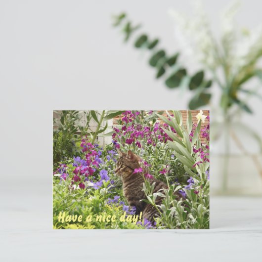 Rätsel Katze! Postkarte (Stehend Vorderseite)