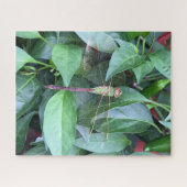 Rätsel-Libelle Puzzle (Horizontal)