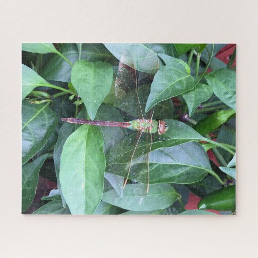 Rätsel-Libelle Puzzle (Horizontal)