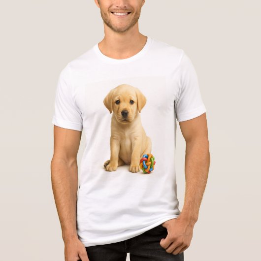Rätsel mir das - Reittier Tri-Blend Shirt (Vorderseite)