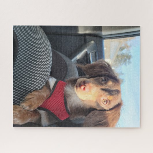 Rätsel mit dem Welpen Puzzle (Horizontal)