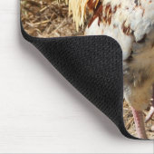 Rätsel! Mousepad (Ecke)