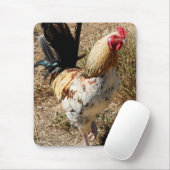 Rätsel! Mousepad (Mit Mouse)