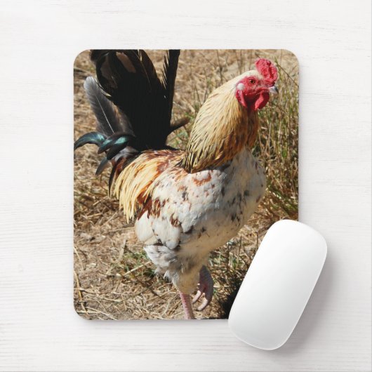 Rätsel! Mousepad (Mit Mouse)