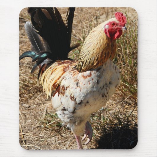 Rätsel! Mousepad (Vorne)