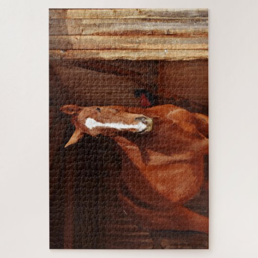 Rätsel Puzzle (Vertikal)