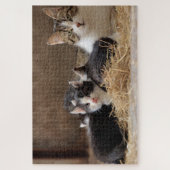 Rätsel Puzzle (Vertikal)