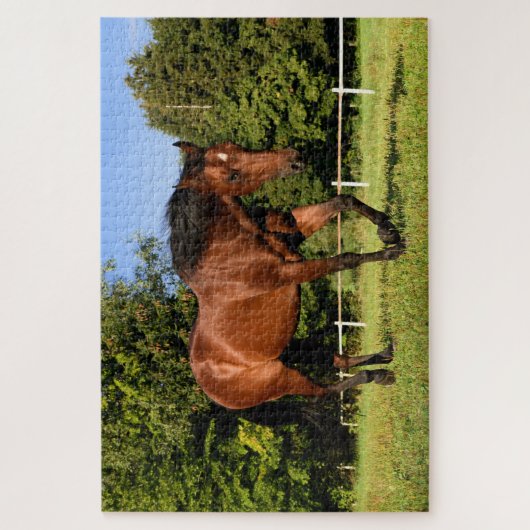 Rätsel Puzzle (Vertikal)