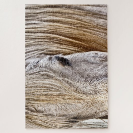 Rätsel Puzzle (Vertikal)