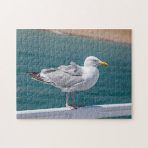 Rätsel Seagull Puzzle