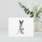 Ratt Terrier (A) Postkarte (Stehend Vorderseite)