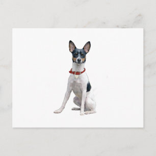 Ratt Terrier (A) Postkarte