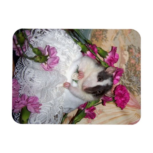 Ratte Bride Trudy Flexible Magnet (Horizontal)