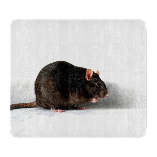 Ratte cbcna schneidebrett (Vorderseite)