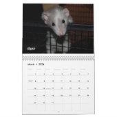 Ratte des Tages, äh, Monats-Kalender Kalender (Mär 2026)
