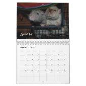 Ratte des Tages, äh, Monats-Kalender Kalender (Feb 2026)