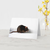 Ratte Gccna Karte (Gelbe Blume)