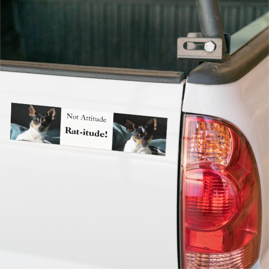 Ratte-itude! Autoaufkleber (Auf Lkw)