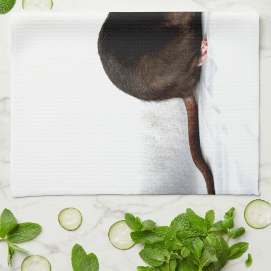 Ratte ktcnm geschirrtuch (Gefaltet)