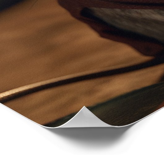 Ratte liest ein Buch Poster (Ecke)