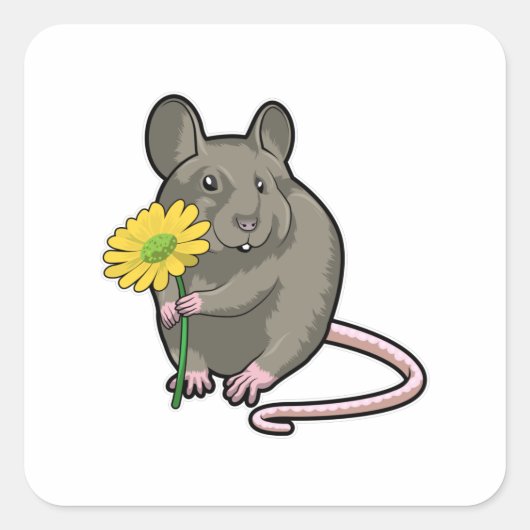Ratte mit gelber Blume Quadratischer Aufkleber (Vorderseite)