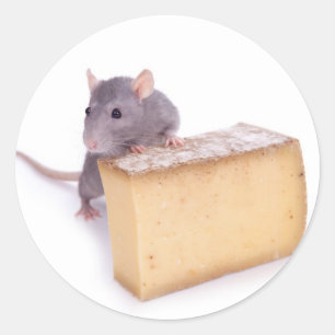 Ratte mit Käse Runder Aufkleber
