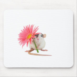 Ratte mit rosa Blume Mousepad