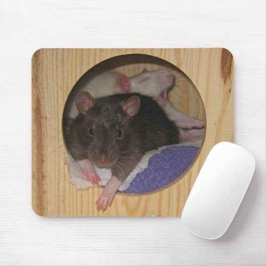 Ratte Mousepad (Mit Mouse)