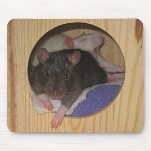Ratte Mousepad (Vorne)