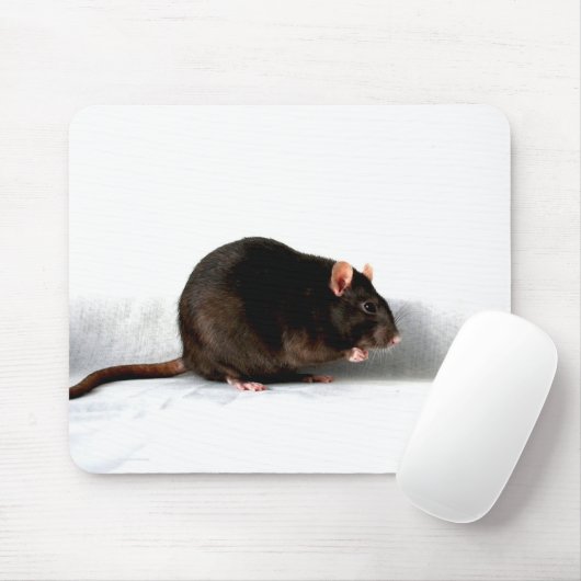 Ratte mpcna mousepad (Mit Mouse)