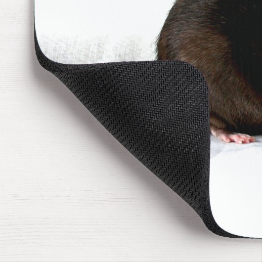 Ratte mps mousepad (Ecke)