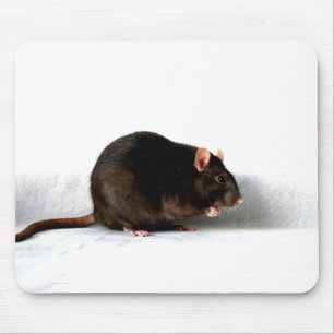 Ratte mps mousepad
