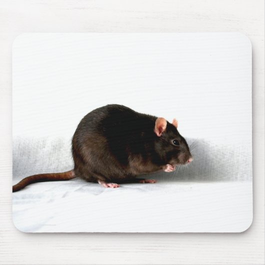 Ratte mps mousepad (Vorne)