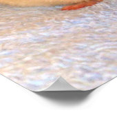 Ratte Nickerchen Print Poster (Ecke)