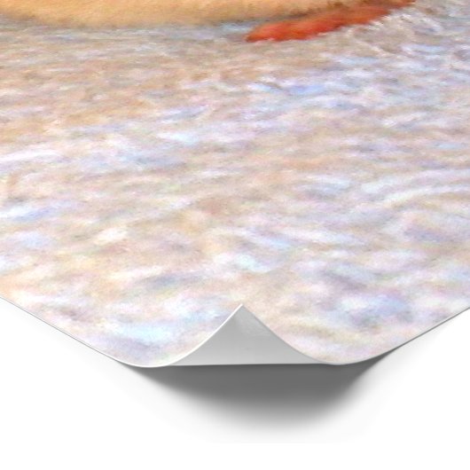 Ratte Nickerchen Print Poster (Ecke)