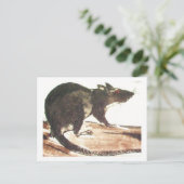 Ratte No. 01 * Rat * Ratten-Postkarten* Rat-Art-Po Postkarte (Stehend Vorderseite)
