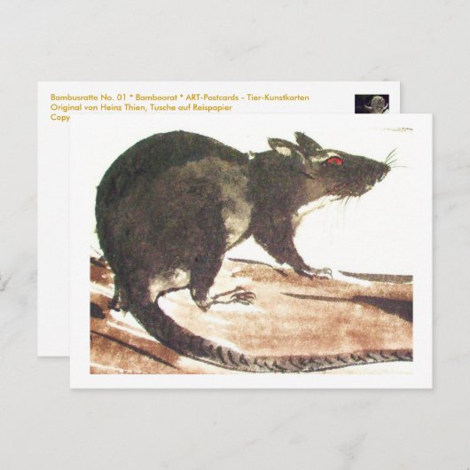 Ratte No. 01 * Rat * Ratten-Postkarten* Rat-Art-Po Postkarte (Vorne/Hinten)