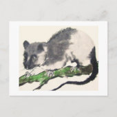 Ratte Nr. 09 * Rat * Ratten-Postkarten * Rat-Postc Postkarte (Vorderseite)