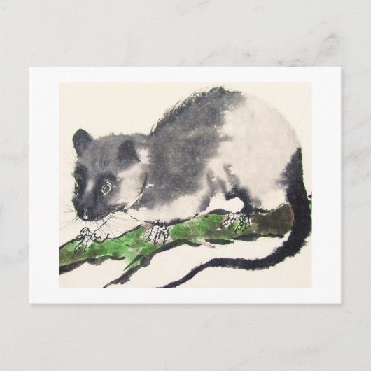 Ratte Nr. 09 * Rat * Ratten-Postkarten * Rat-Postc Postkarte (Vorderseite)