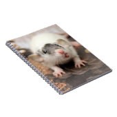 Ratte Ratte! Notizblock (Rechte Seite)