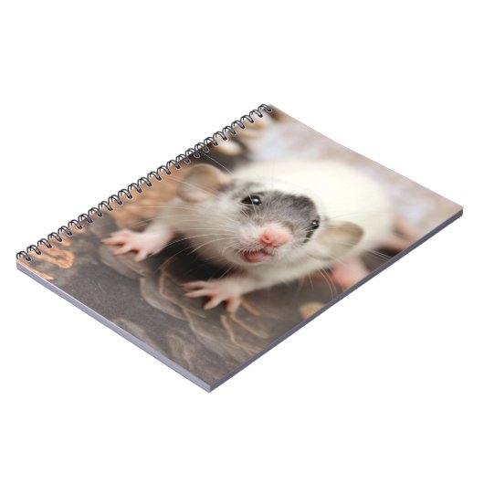 Ratte Ratte! Notizblock (Linke Seite)